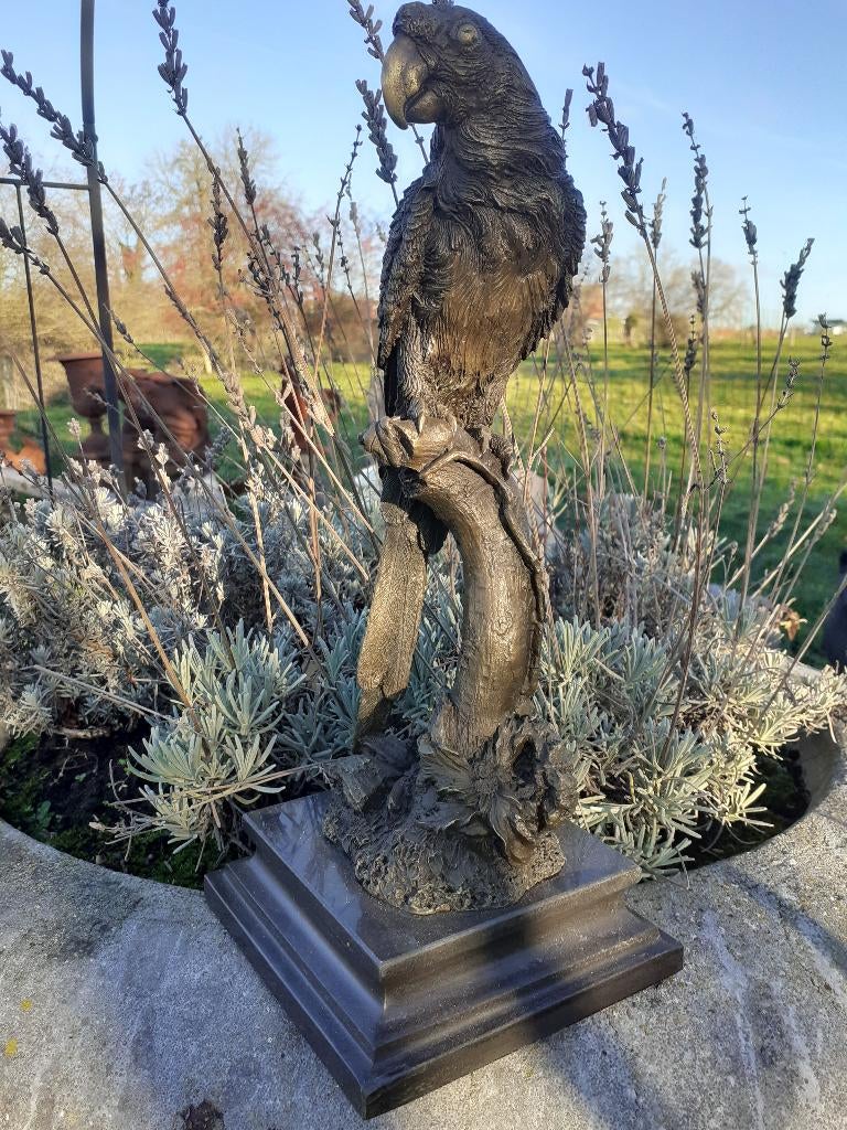 PERROQUET SUR BRANCHE EN BRONZE SIGNE SUR SOCLE, Enlèvement ou Envoi, Bronze