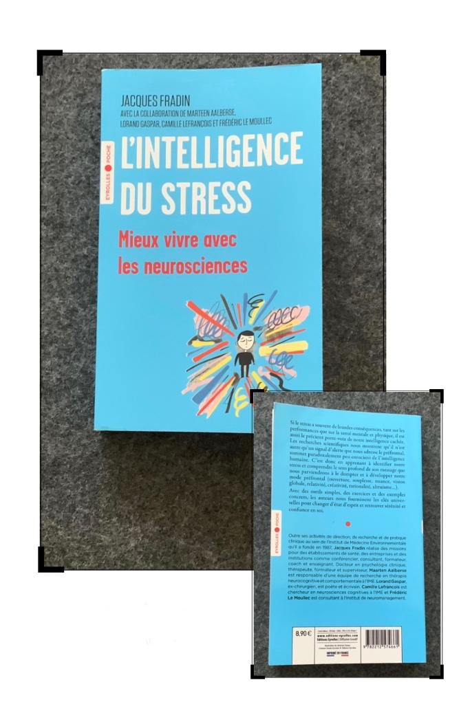 L'intelligence du stress de Jacques Fradin, Boeken, Filosofie, Zo goed als nieuw, Metafysica of Natuurfilosofie, Ophalen of Verzenden