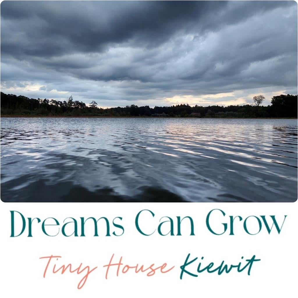 Tinyhouse, Enlèvement ou Envoi