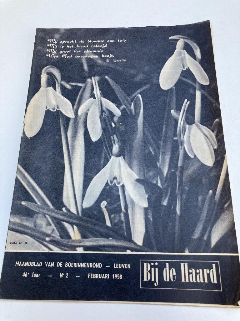 Bij de Haard nr2 1958 : Guido Gezelle, De Beukelaar, Beltac, Verzamelen, Ophalen of Verzenden, 1940 tot 1960, Tijdschrift