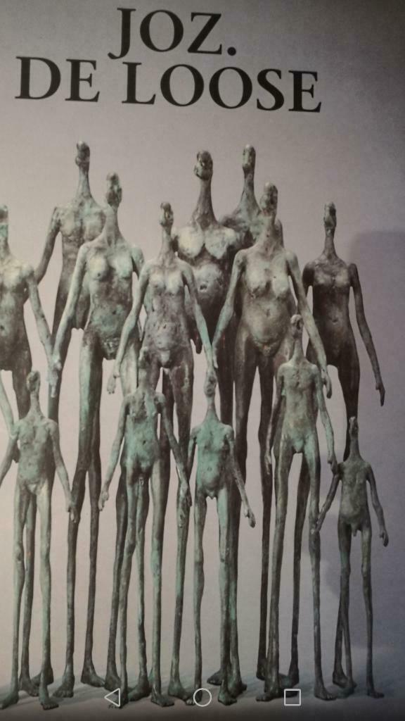 Jozef De Loose catalogue raissoné 350pag, Ophalen of Verzenden, Zo goed als nieuw, Beeldhouwkunst