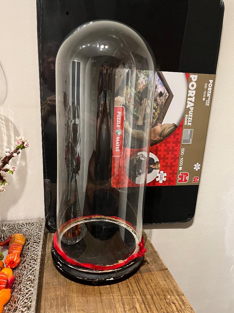 Glazen stolp, Huis en Inrichting, Woonaccessoires | Stolpen, Ophalen, Zo goed als nieuw