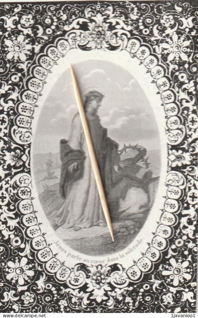 Adel, Ophalen of Verzenden