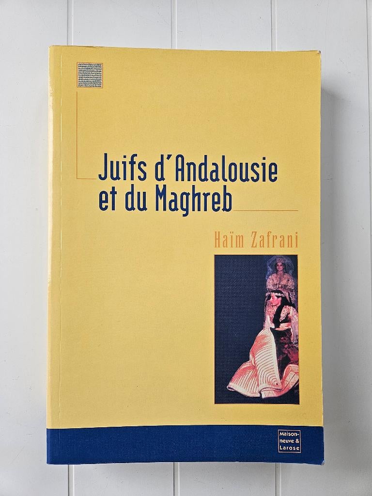 Joden uit Andalusië en de Maghreb, Ophalen of Verzenden, Gelezen, Haïm Zafrani