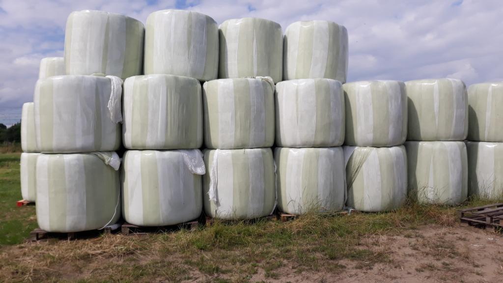 Pakken maïs, Zakelijke goederen, Landbouw | Veevoer, Ophalen