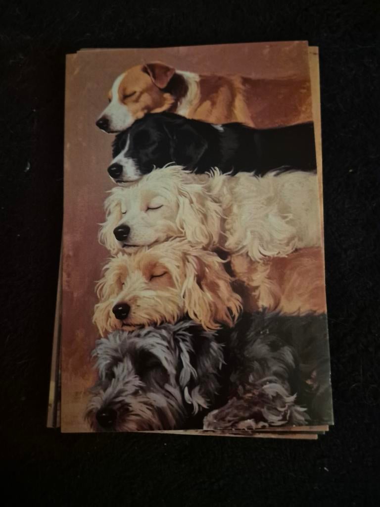 Postkaart honden, Verzamelen, Postkaarten | Dieren, Ophalen of Verzenden