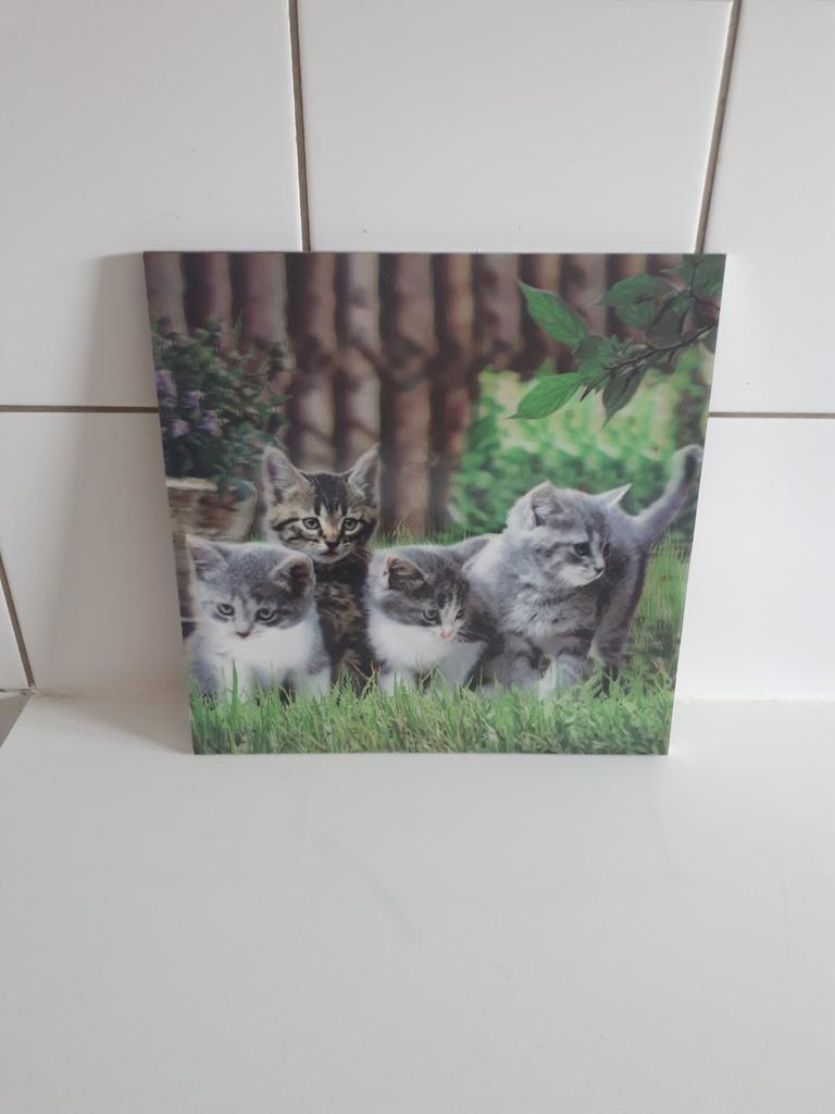 Photographie/peinture 3D pour chats, Enlèvement ou Envoi, Comme neuf, Création originale, Peinture