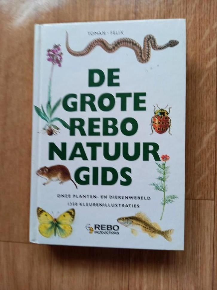 DIT IS DE MOOISTE NATUURGIDS DIE ER IS ❤️🧡💛💚, Livres, Nature, Neuf, Oiseaux, Enlèvement ou Envoi