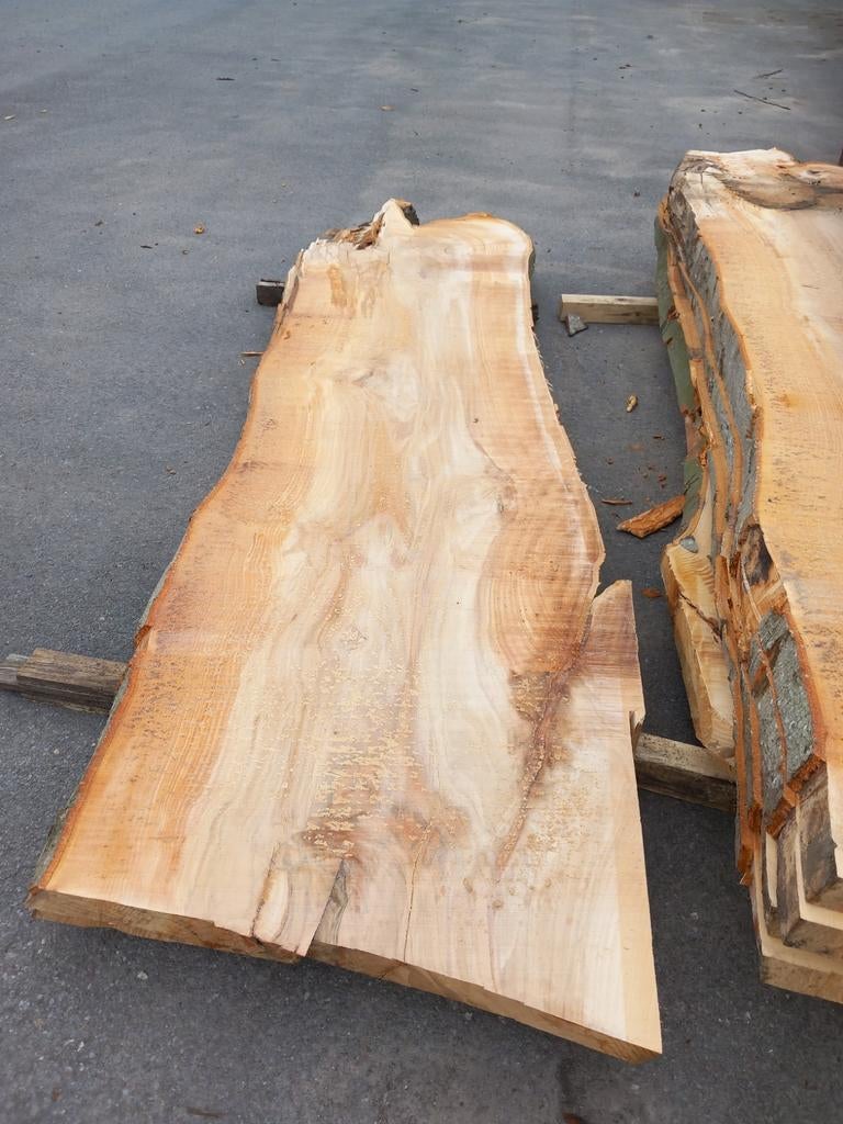 Boomstamtafels Boomstamtafelbladen Boomstamtafelplanken, Doe-het-zelf en Bouw, Ophalen, Nieuw, Beuken