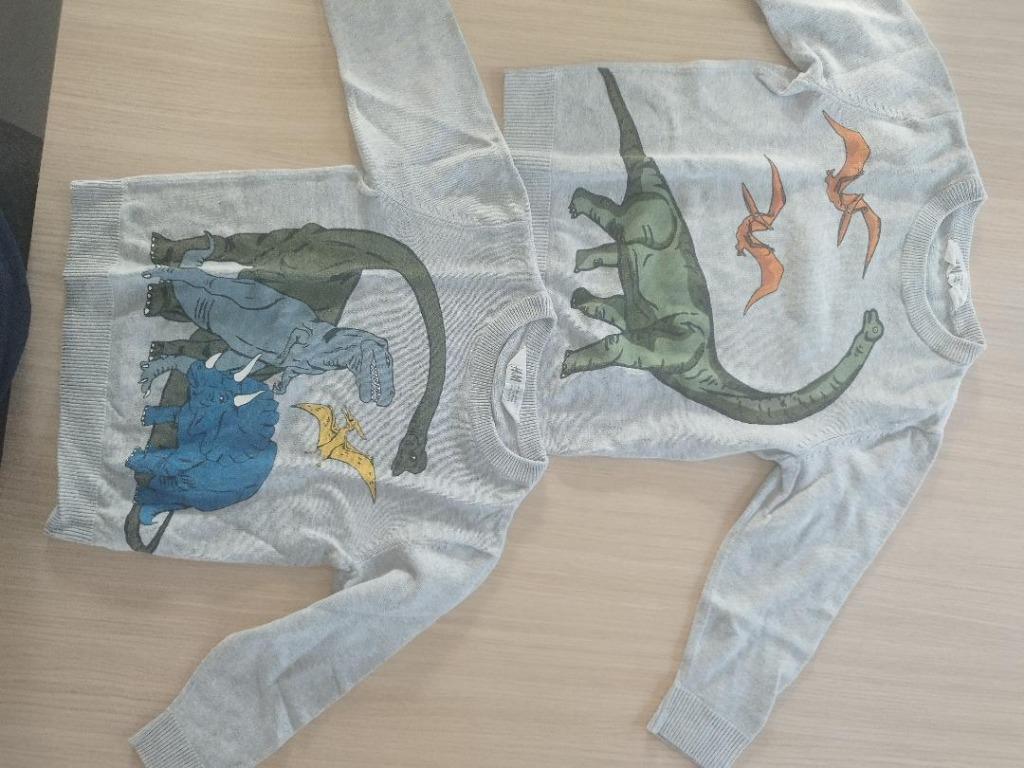 Dino truien maat 98/104, Ophalen, Gebruikt, Trui of Vest, H&M
