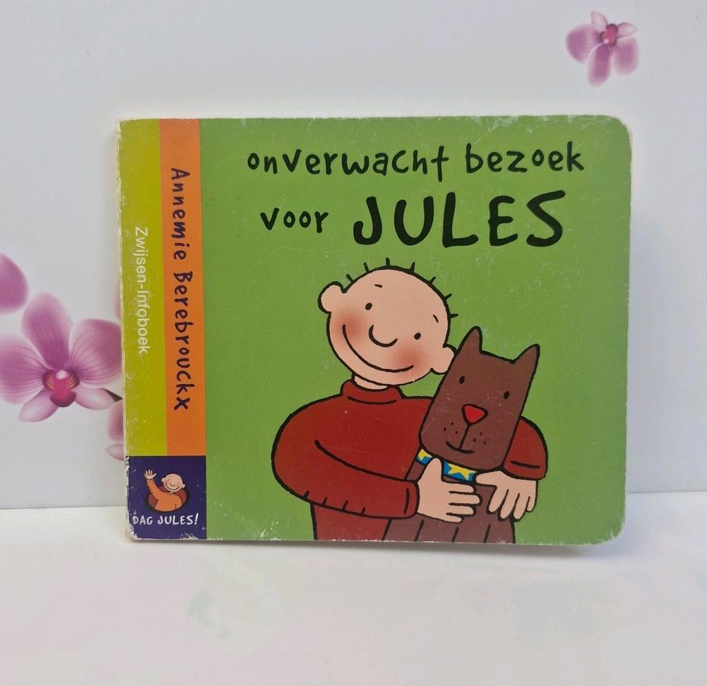 💚 Boek: Onverwacht bezoek voor Jules, Boeken, Ophalen of Verzenden, Zo goed als nieuw, Annemie Berebrouckx