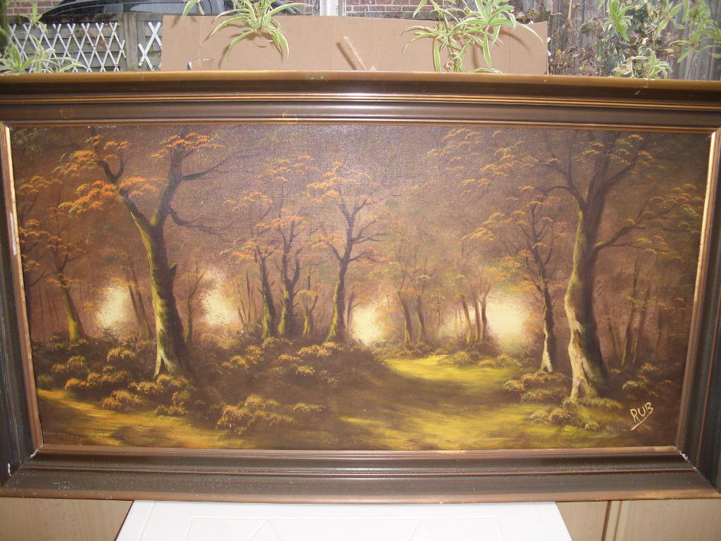 lot grote schilderijen, Antiek en Kunst, Ophalen