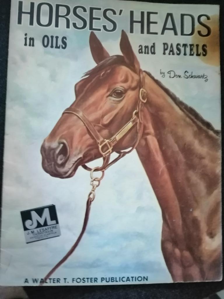 instructieboek tekenen / schilderen : paarden cheval horses, Hobby en Vrije tijd, Ophalen of Verzenden, Zo goed als nieuw