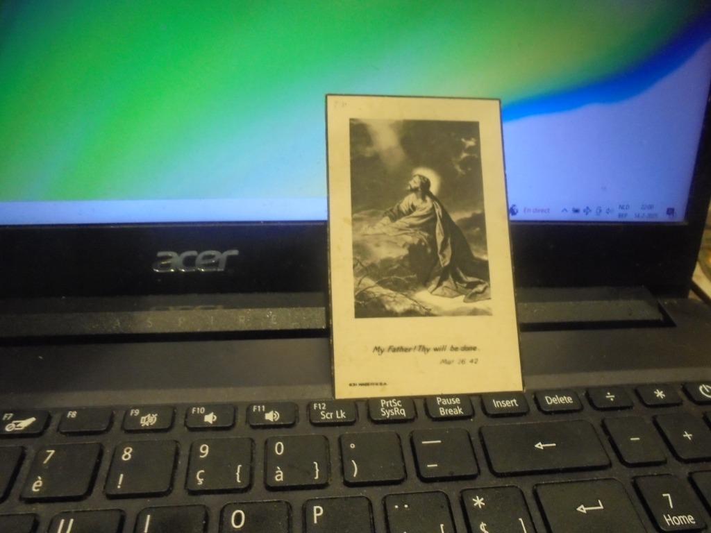 dp Julia Sophia Lozie, Verzamelen, Bidprentjes en Rouwkaarten, Ophalen of Verzenden, Bidprentje