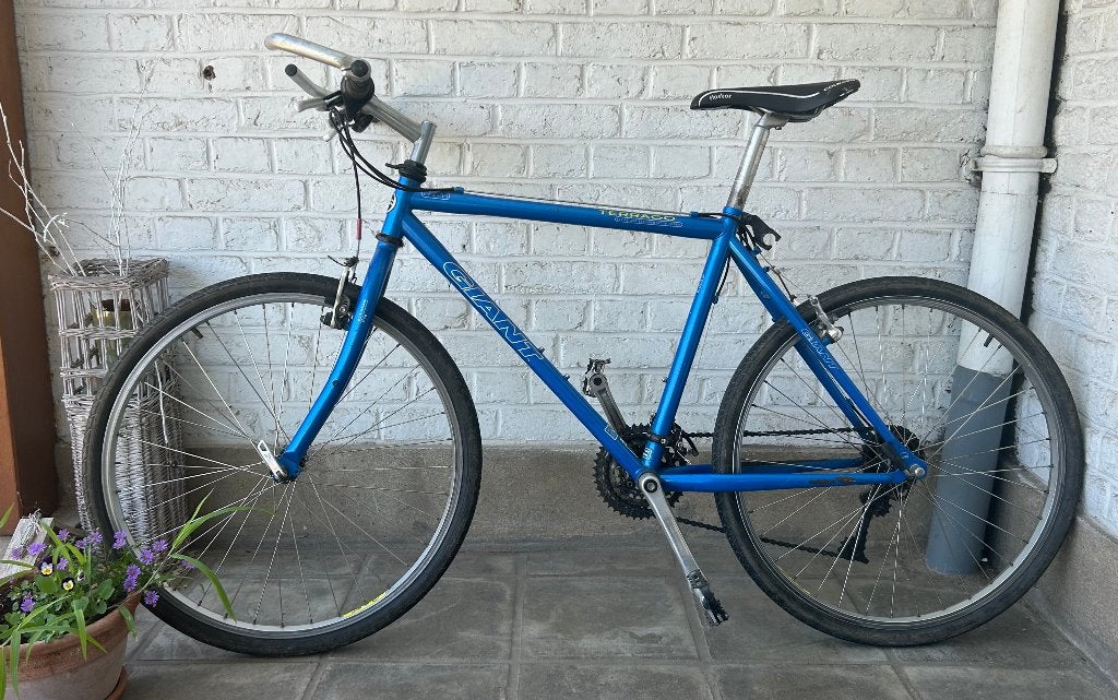 VTT Giant Terrago 1996 - Cadre Chromoly 4130, Vélos & Vélomoteurs, Enlèvement, Utilisé, Giant