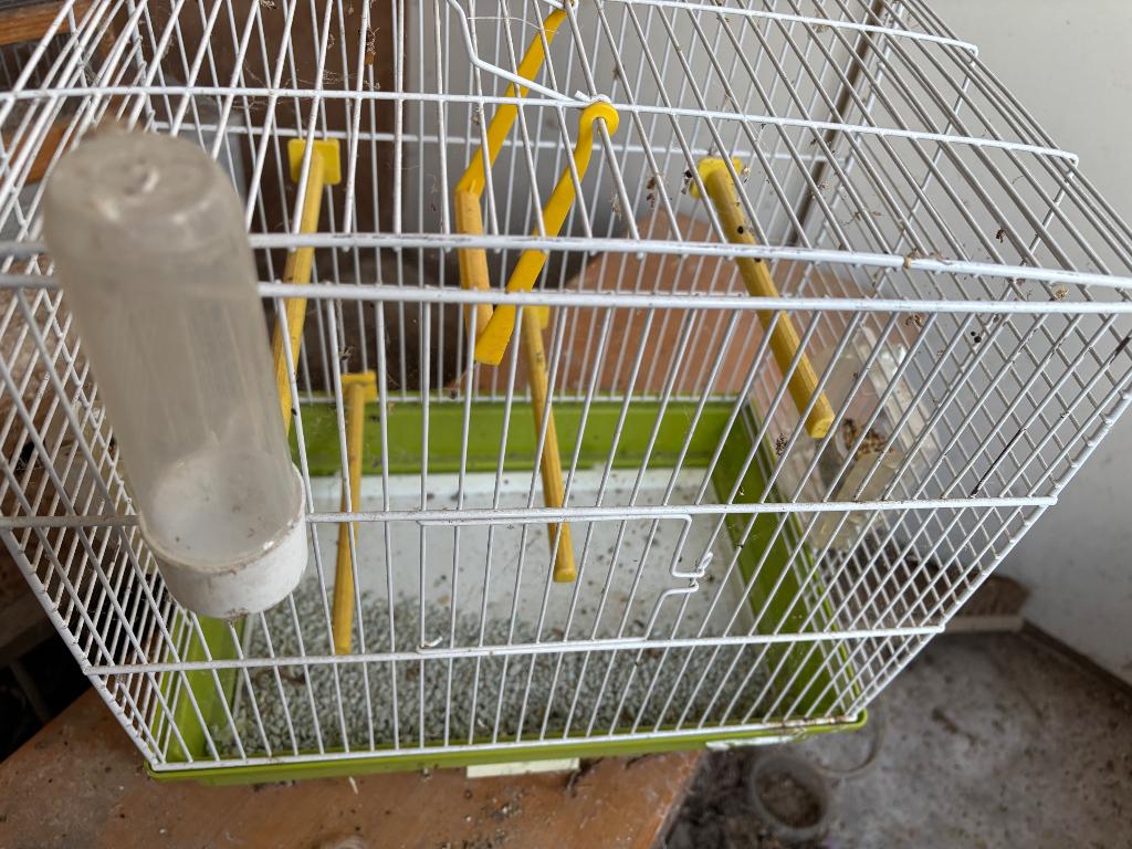 Cage, Enlèvement
