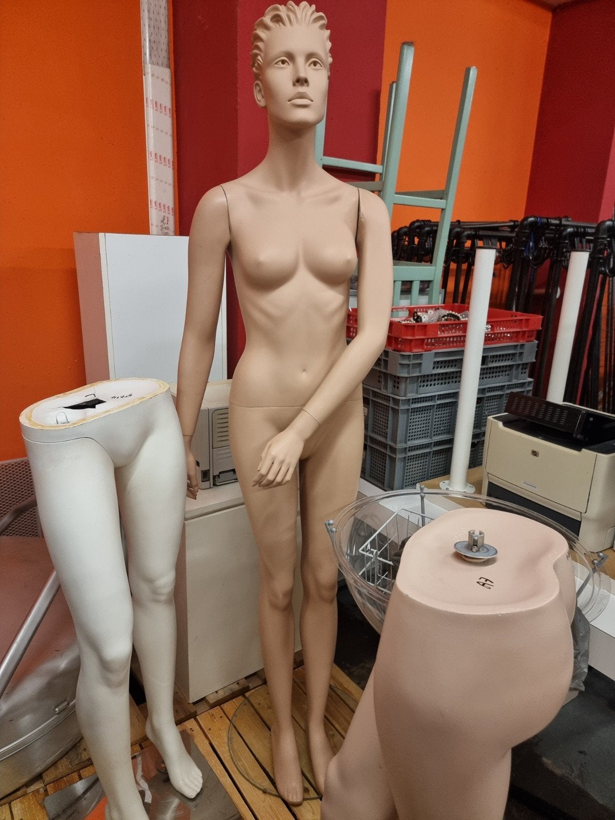 Mannequin, poupée cool, mannequin, mannequin à vendre, Enlèvement