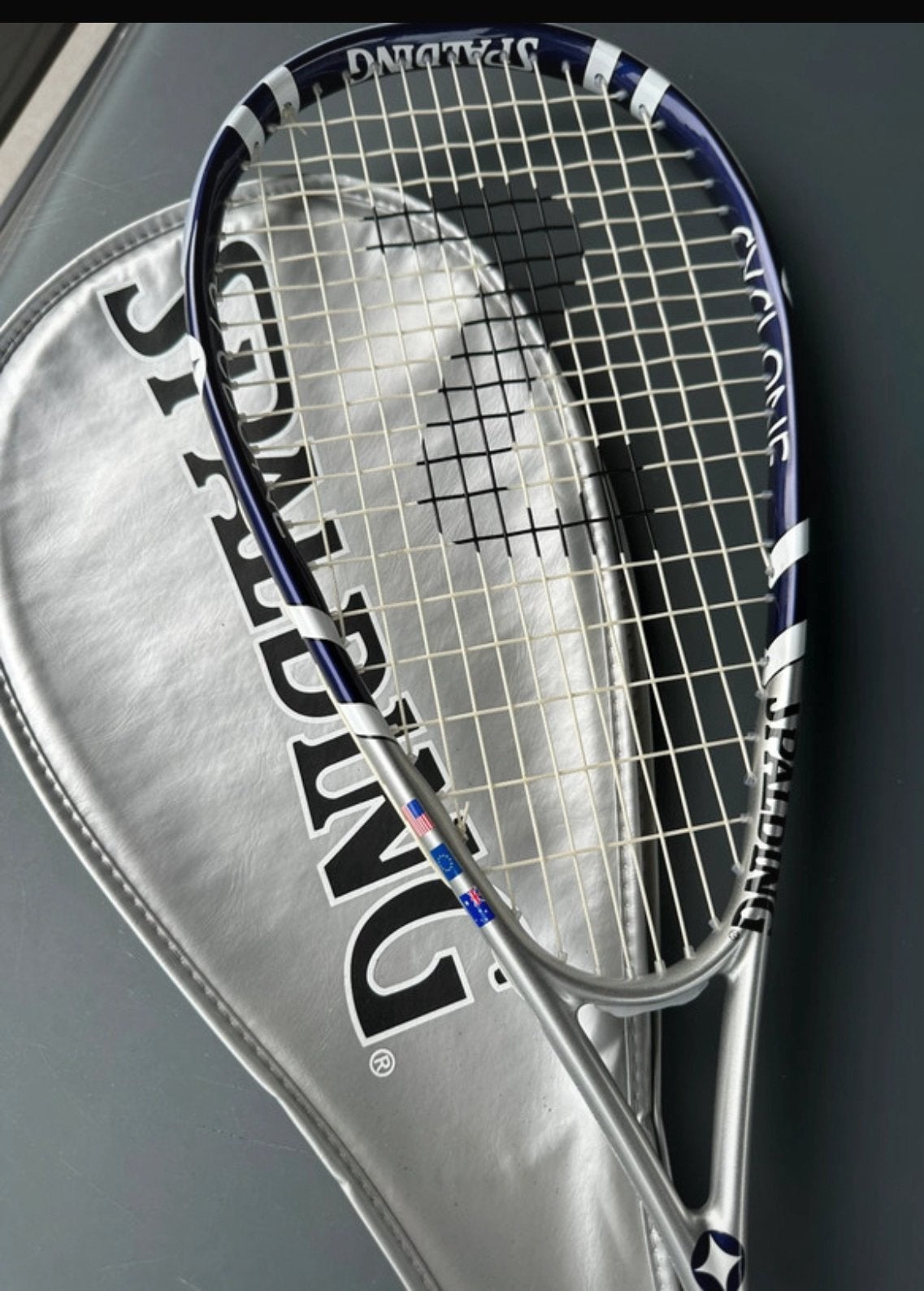 Raquette de squash Spalding avec étui, Enlèvement ou Envoi, Utilisé, Raquette, Avec housse