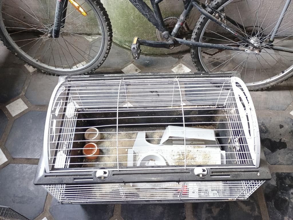 Cage a lapin,cochon d inde bonne etat a nettoyer grande.