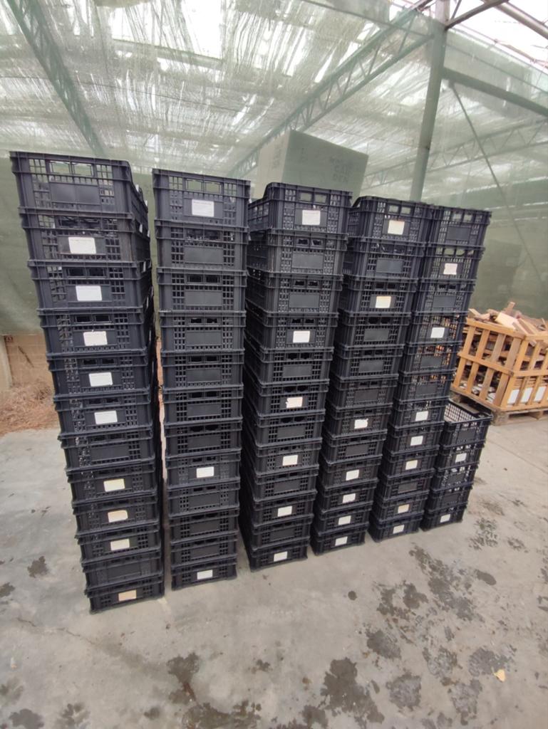 Partij Nieuwe stapel bakken mandjes kratten, Ophalen, 40 tot 60 cm, Minder dan 50 cm, Nieuw