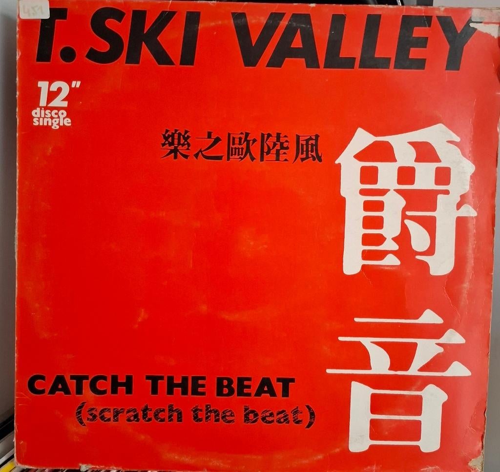 T ski valley, Cd's en Dvd's, Vinyl | Dance en House, Ophalen of Verzenden, Gebruikt, Overige genres