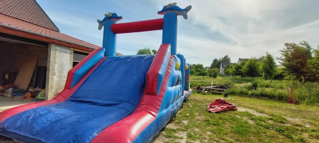 LOCATION: Château gonflable Dauphin Toboggan, Enlèvement, Comme neuf