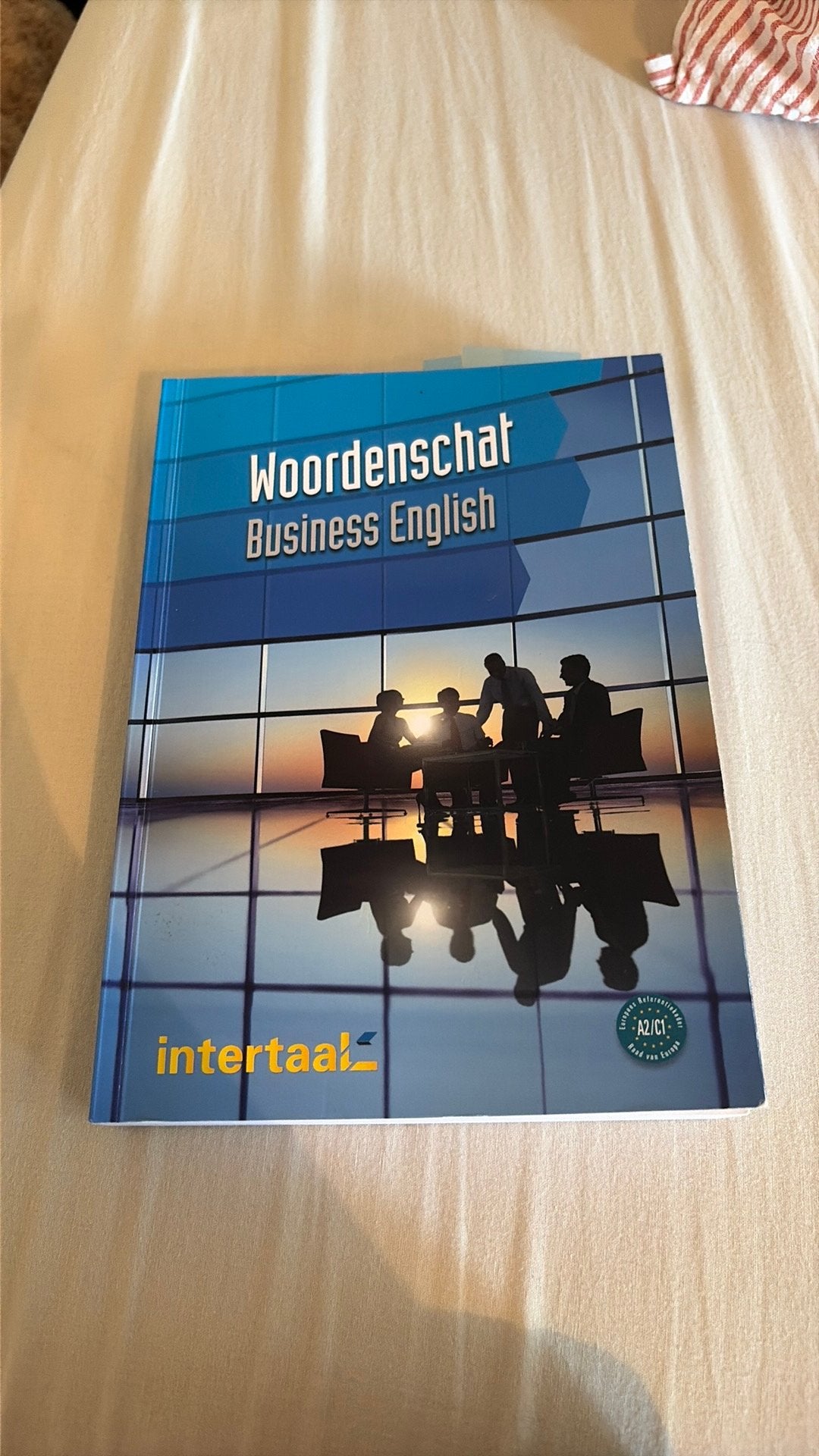 Barry Baddock - Woordenschat Business English, Enlèvement ou Envoi, Anglais, Barry Baddock; Susie Vrobel