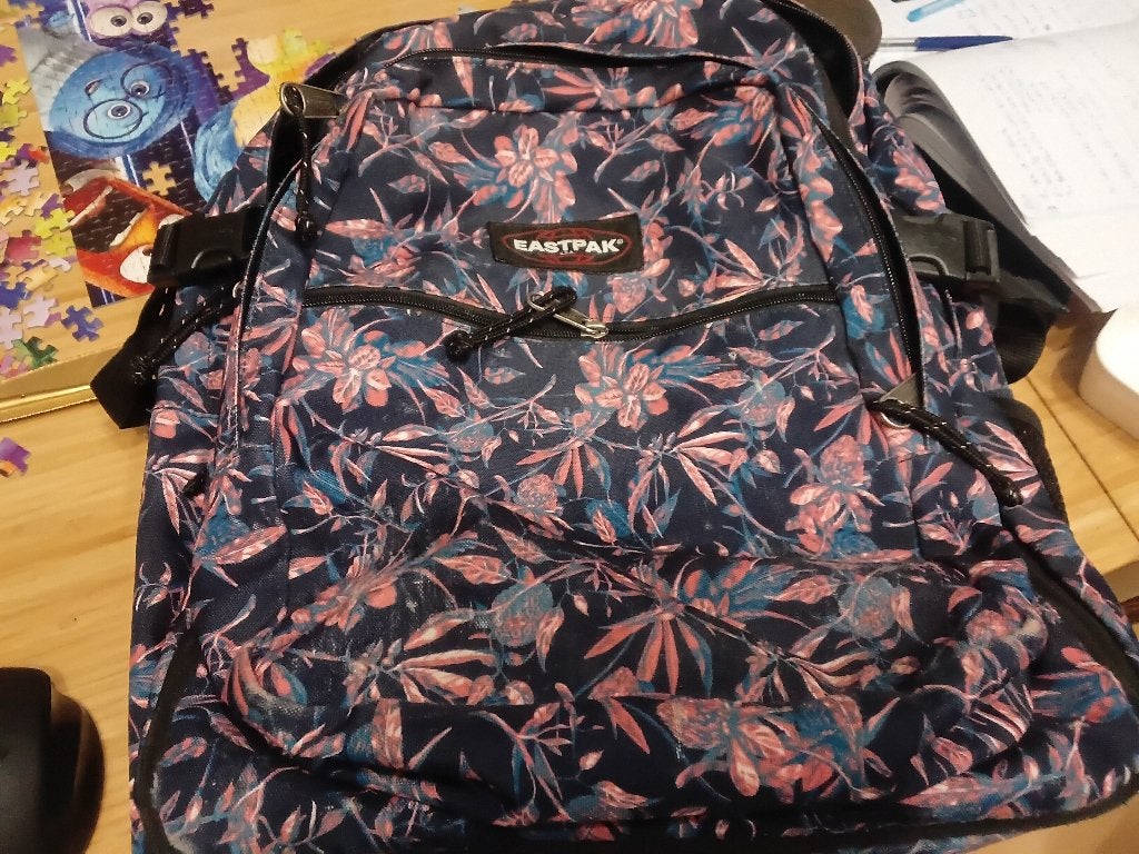 Eastpak rugzak voor middelbare school, Ophalen, Gebruikt, Eastpak