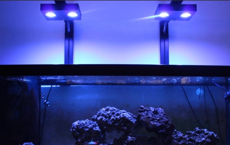 Aqua Illumination Hydra 32HD LED + AI HMS Arm, Dieren en Toebehoren, Vissen | Aquaria en Toebehoren, Zo goed als nieuw, Ophalen
