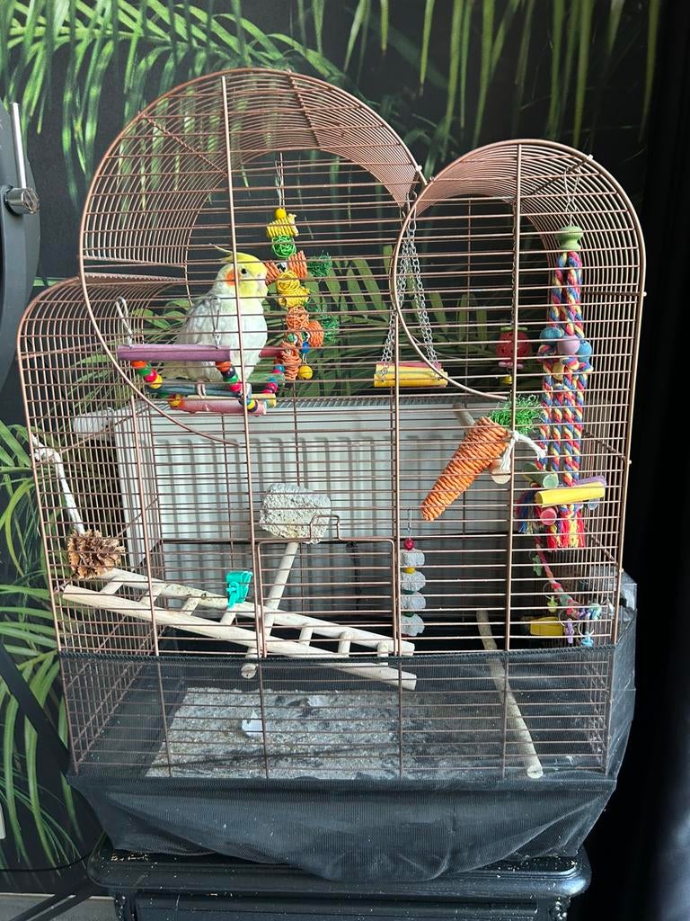 Vogelkooi Flamingo zwart rose gold,accecoires 6 maand oud, Enlèvement, Comme neuf, Cage à oiseaux