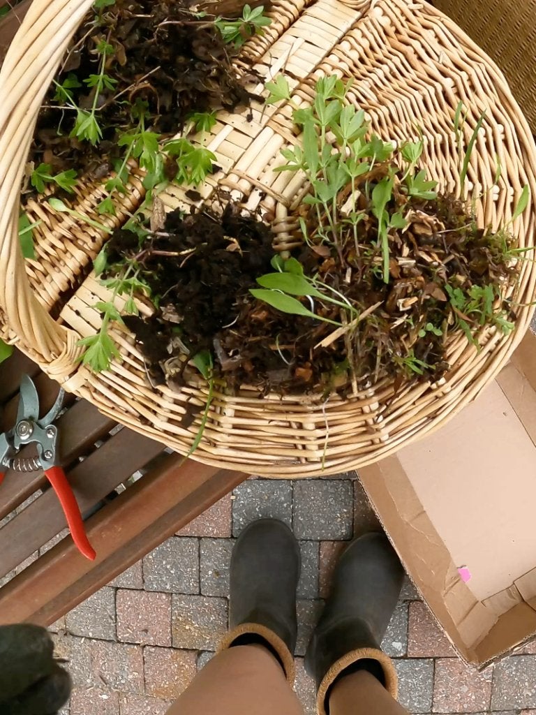 Cherche bricoleur/jardinier bénévole Alsemberg/Rode/Waterloo, Contacts & Messages, Appels Sport, Hobby & Loisirs