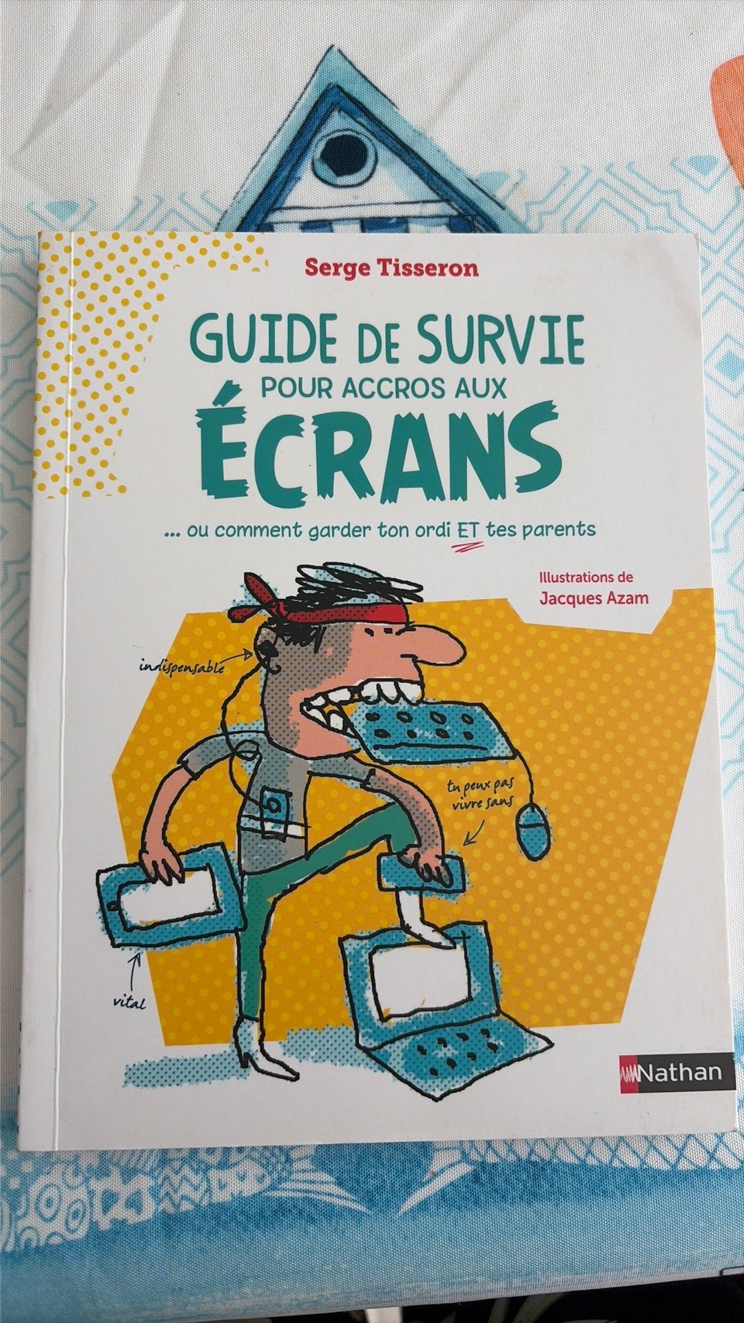 Guide de survie pour accros aux écrans, Livres, Enlèvement, Comme neuf