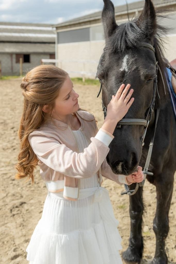 Verzorgpony gezocht/verzorger aangeboden/ bijrijder, Dieren en Toebehoren, Paarden