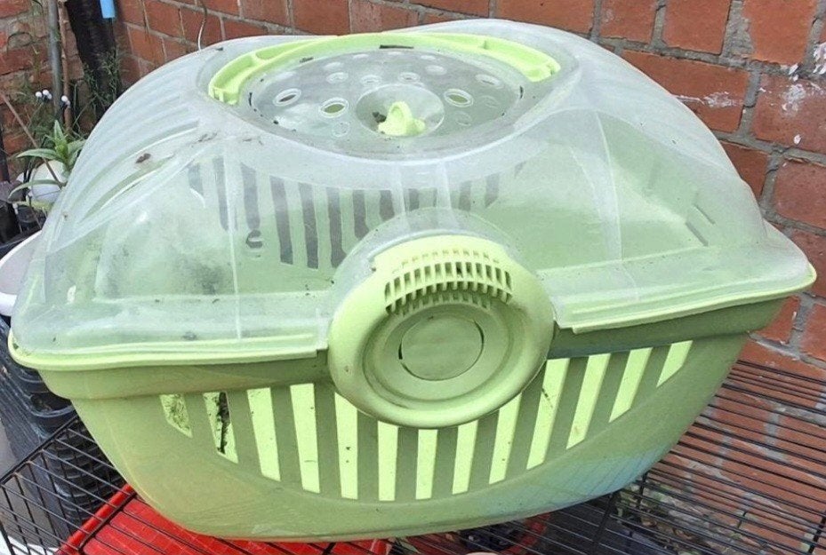 Knaagdieren vervoersbakje, Dieren en Toebehoren, Ophalen of Verzenden, Gebruikt, Transportkoffer of -box