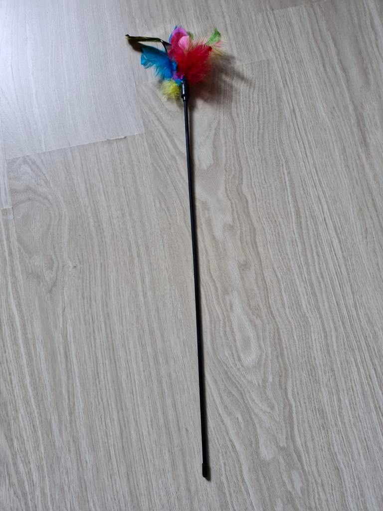 Kattenspeelgoed pluim, Ophalen