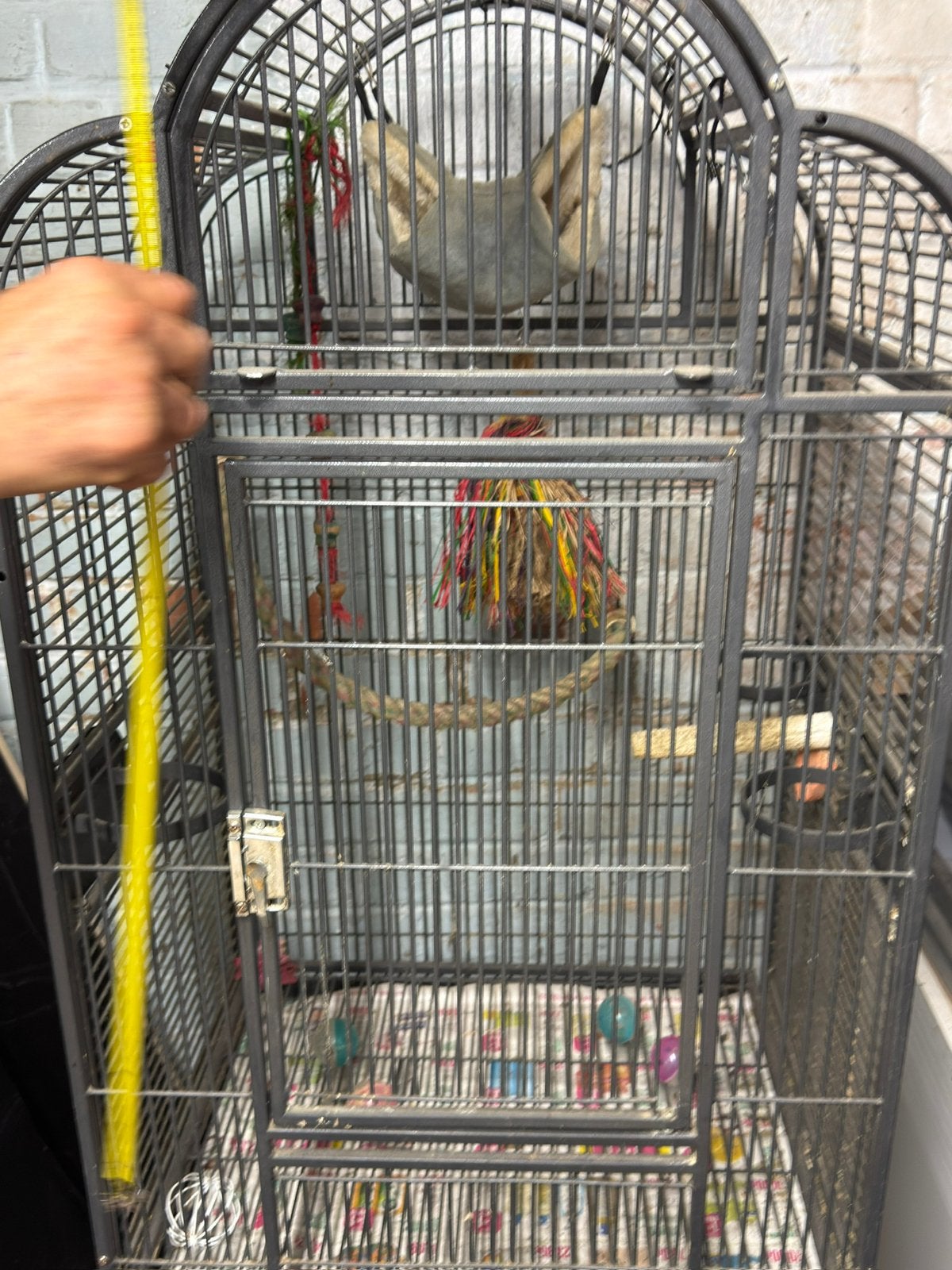 Grande Cage d oiseaux, Enlèvement, Utilisé, Métal, Cage à oiseaux