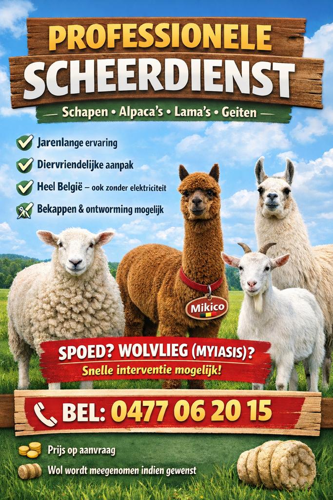 Scheren van schapen & alpaca’s