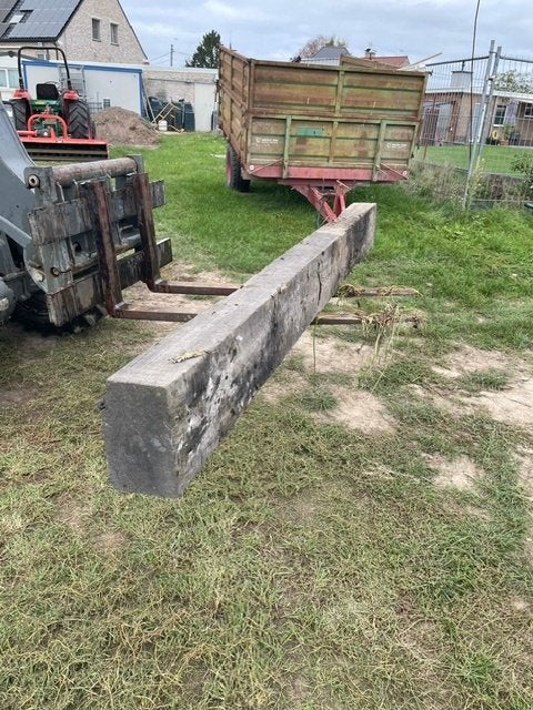 treinbielzen, Tuin en Terras, Gebruikt, Biels, 200 cm of meer, Ophalen of Verzenden