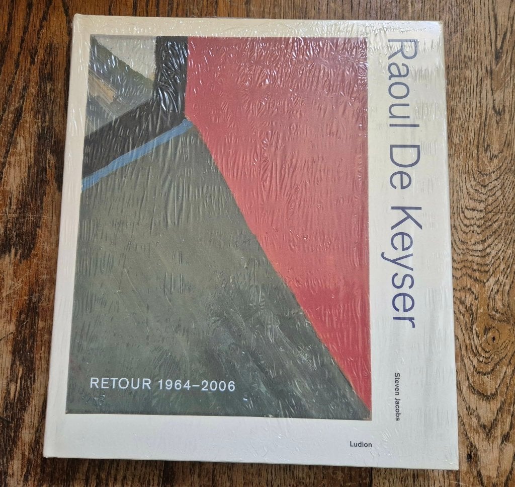 Raoul De Keyser Retour 1964 - 2006, Boeken, Nieuw, Ophalen of Verzenden, Steven Jacobs, Schilder- en Tekenkunst