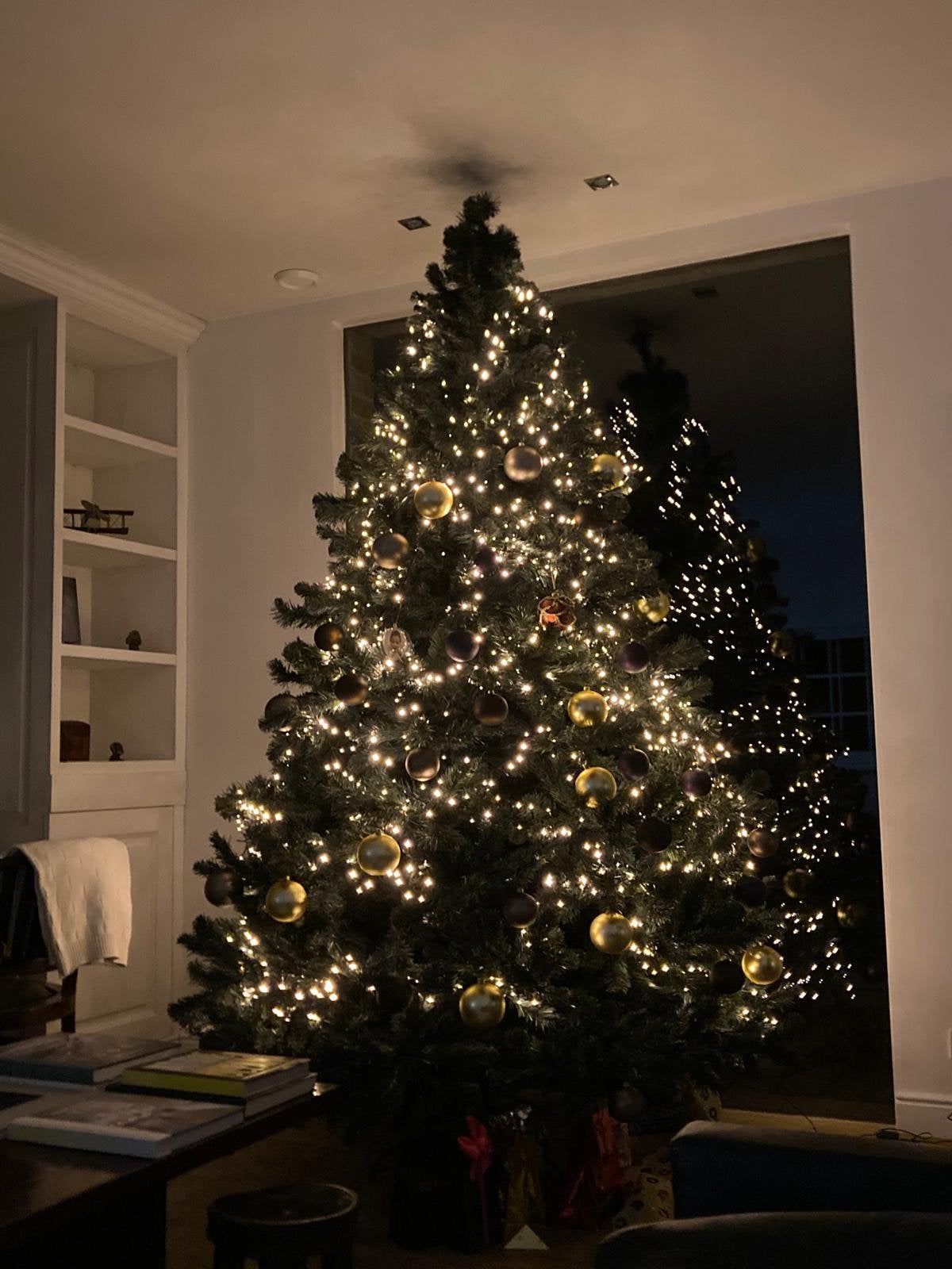 Kerstboom top kwaliteit, Ophalen, Gebruikt