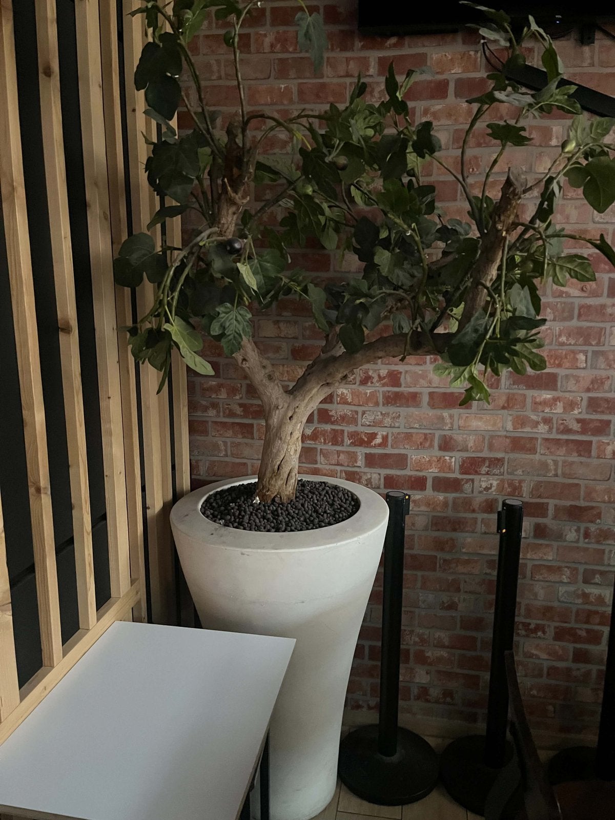 Arbres ornementales, Enlèvement