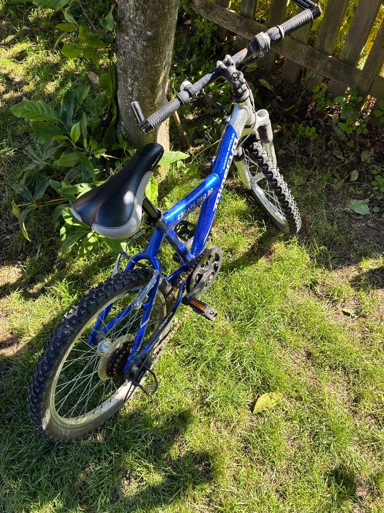 Mountainbike 20’’, Vitesses, Frein sur jante, Minerva, Utilisé