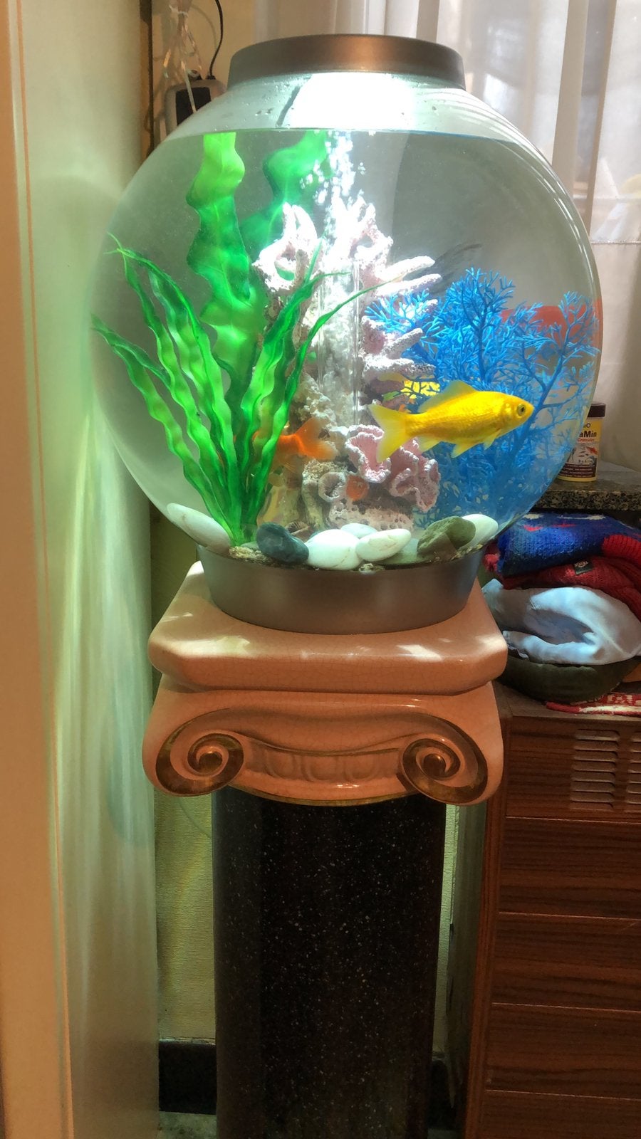 Biorb aquarium, Enlèvement, Accessoires inclus, Utilisé, Autres marques