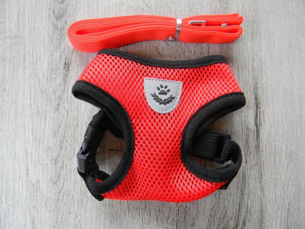 Harnas rood luxyana nieuw, Dieren en Toebehoren, Ophalen, Nieuw