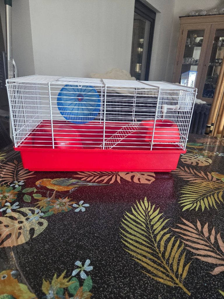 Cage à hamster avec accessoires, Enlèvement, Comme neuf, Cage, Hamster