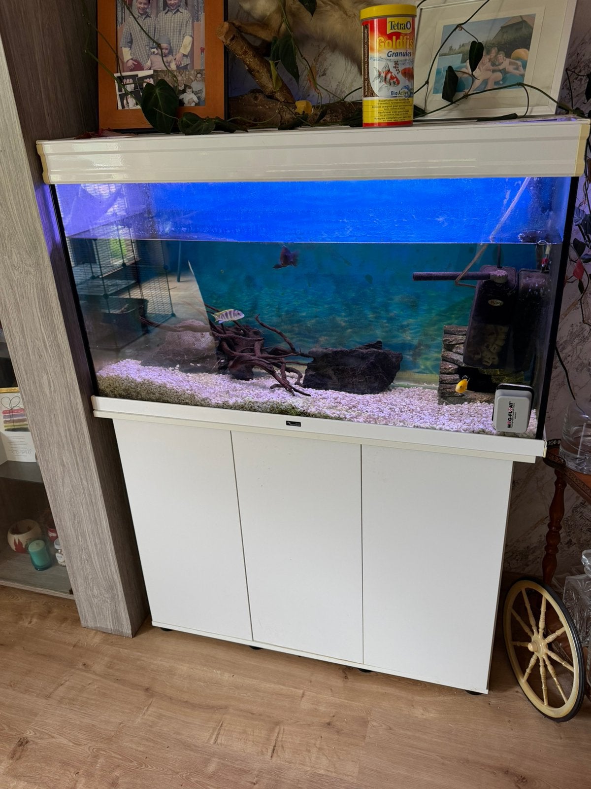 Aquarium, Animaux & Accessoires, Enlèvement, Comme neuf