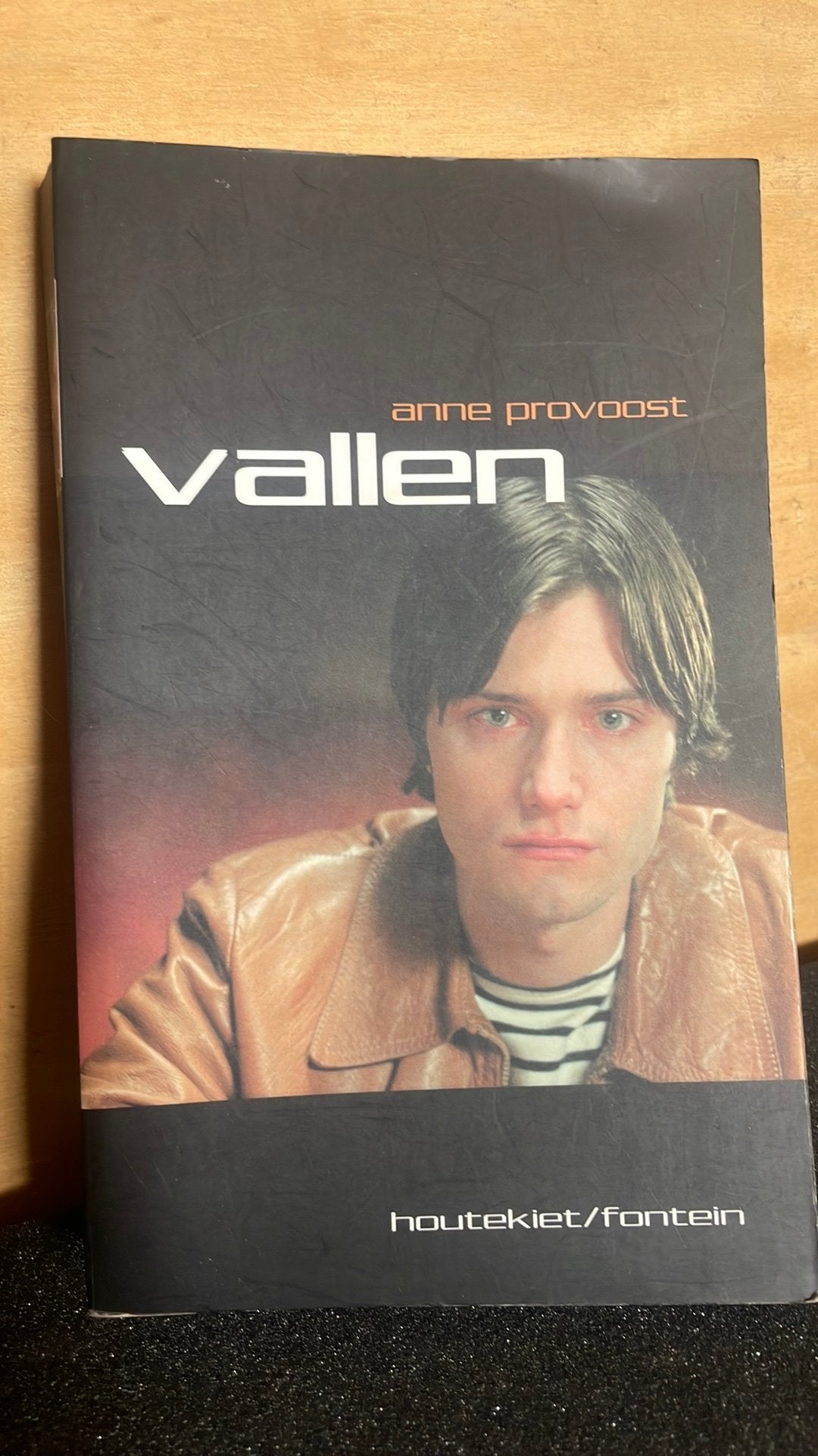 Anne Provoost - Vallen, Boeken, Ophalen of Verzenden, Anne Provoost