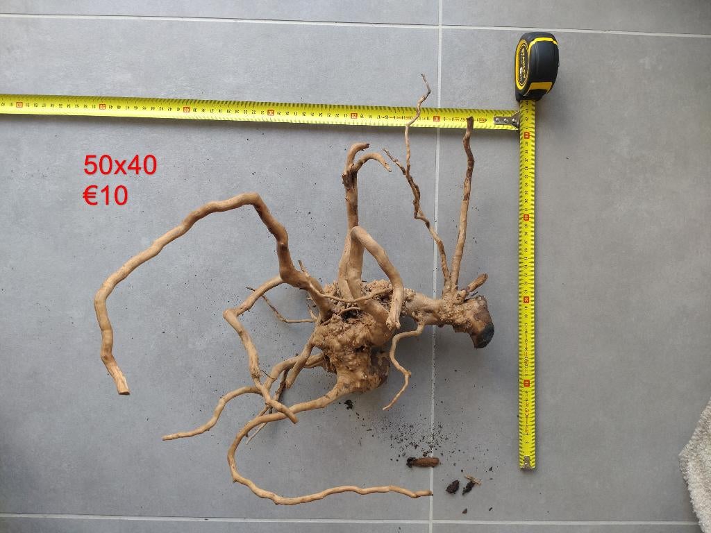 Terrarium hout, Dieren en Toebehoren, Ophalen of Verzenden, Gebruikt, Tak, Plant, Rots of Steen