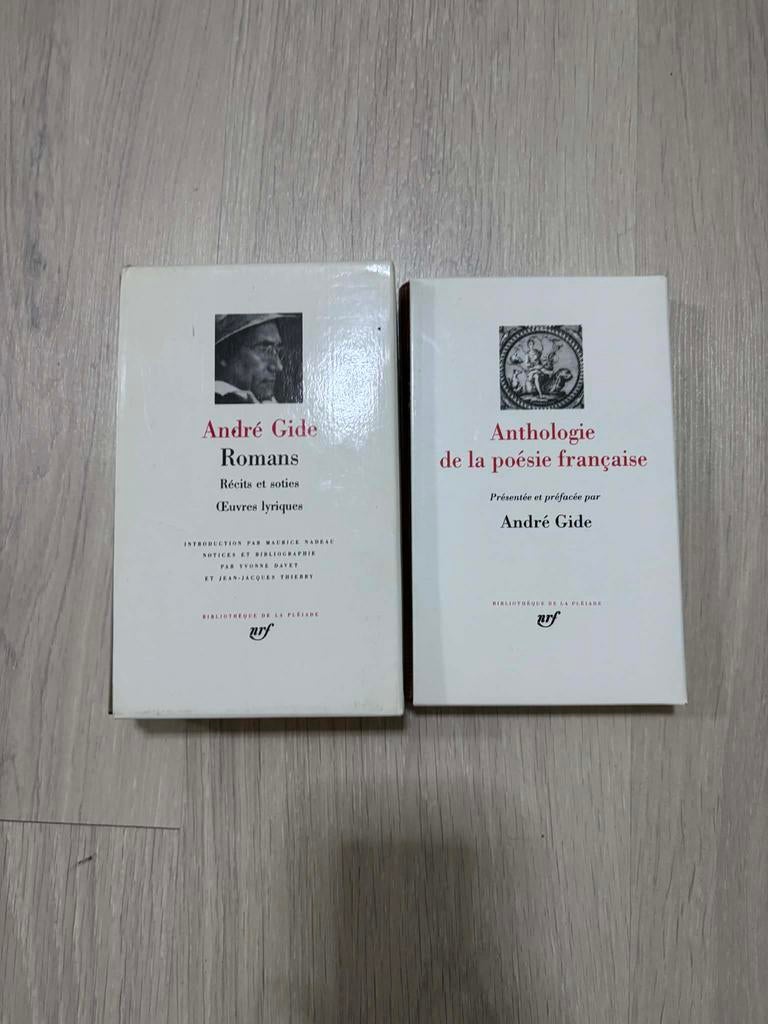 Bibliothèque de la Pléiade – André Gide (2 volumes), Livres, Littérature, Utilisé, Enlèvement ou Envoi