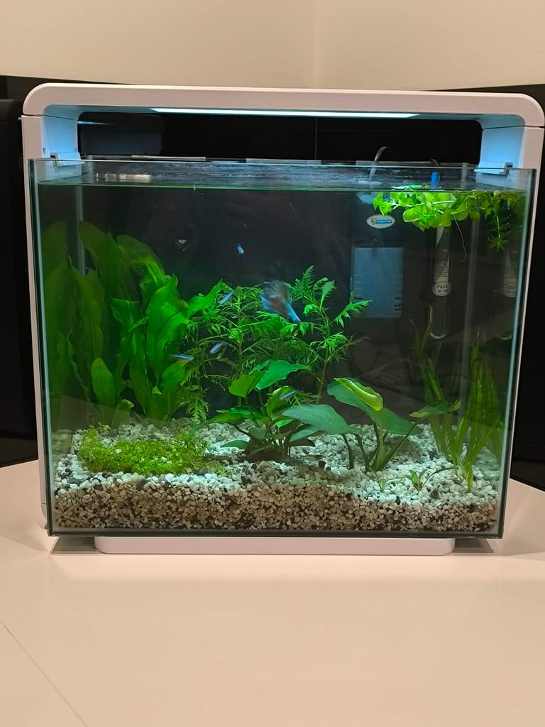 Superfish home 40, Dieren en Toebehoren, Ophalen, Verwarming, Gebruikt, Leeg aquarium